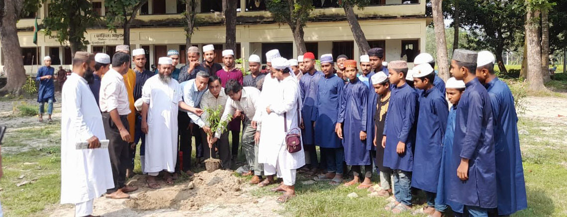 কাজিপুরে সোনামুখি ফাজিল মাদ্রাসায়  ঔষধি গাছের চারা রোপণ
