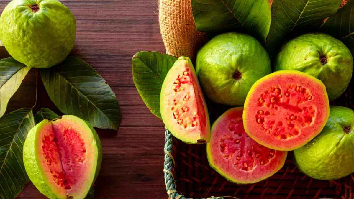 উপকারি পেয়ারা যাদের জন্য ক্ষতিকর