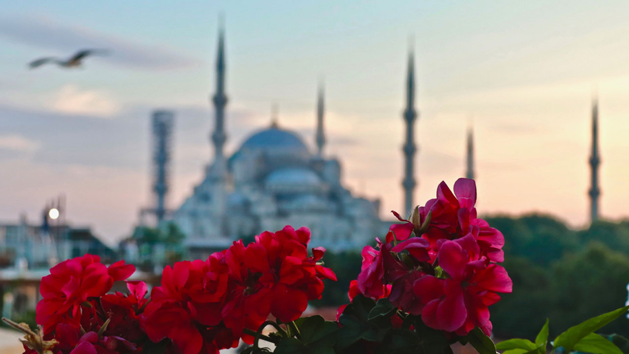 আবু বকর রা. কে নিয়ে হাদিসে যা বলা হয়েছে