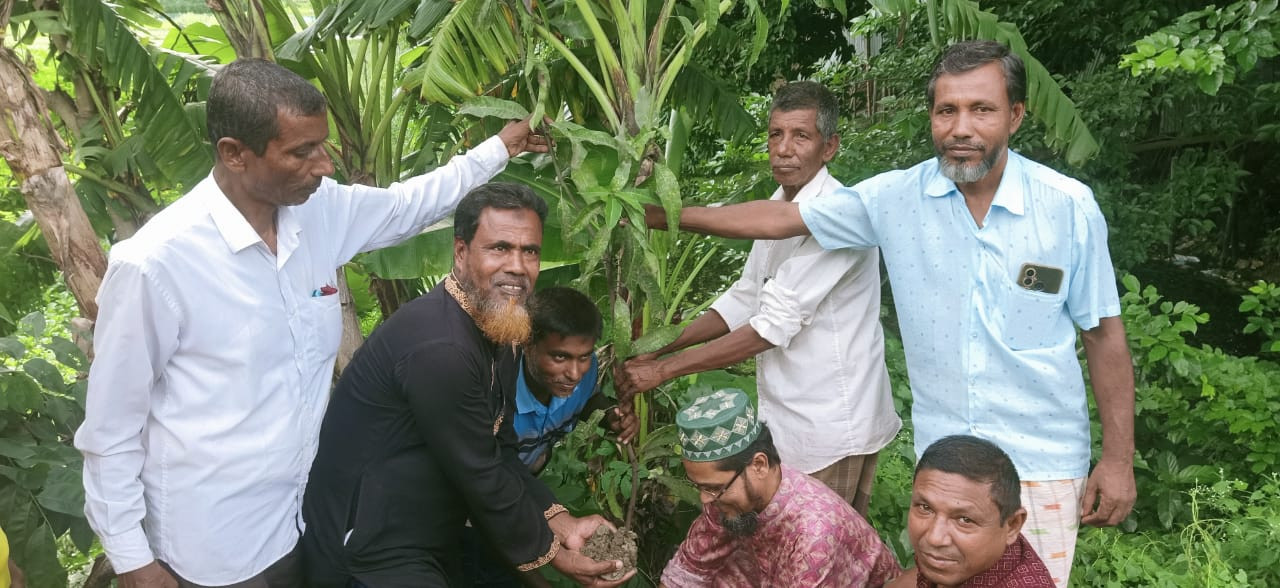 মোহনপুরে কৃষকদলের বৃক্ষ রোপণ কর্মসূচী
