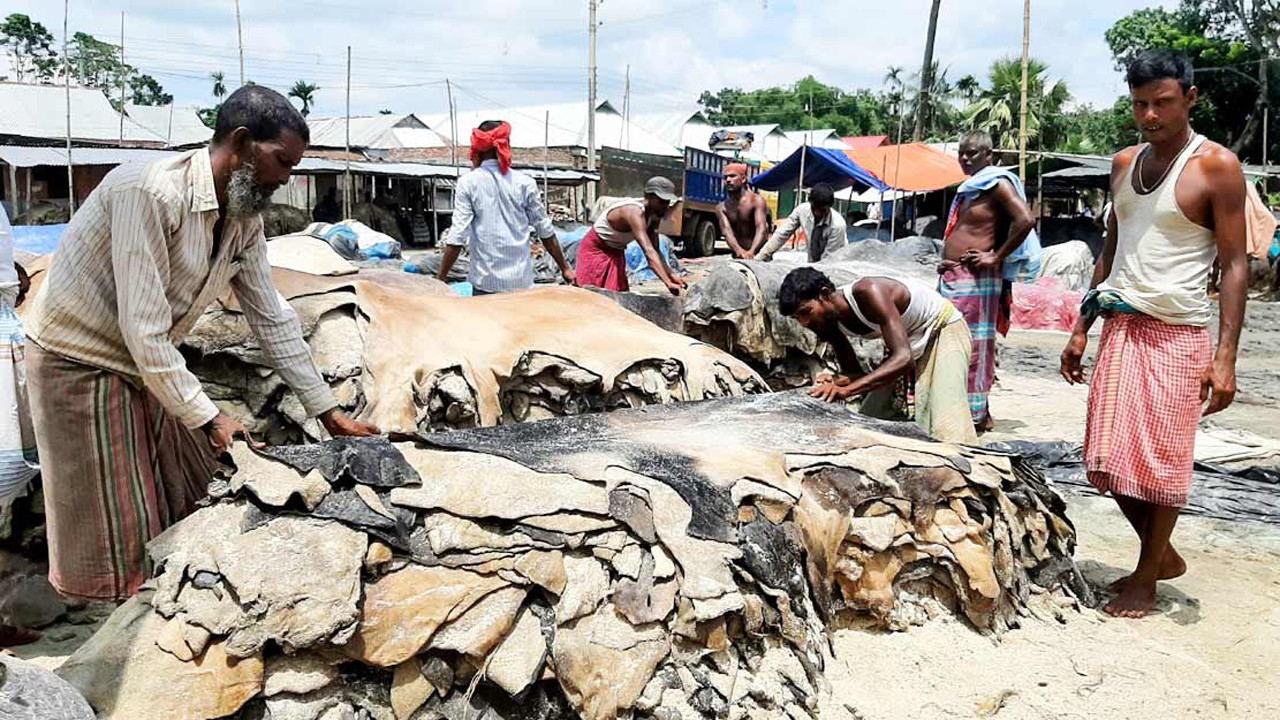 কোটা আন্দোলন পরিস্থিতিতে ৩০৭ কোটি টাকার চামড়া পণ্য রপ্তানির ক্ষতি