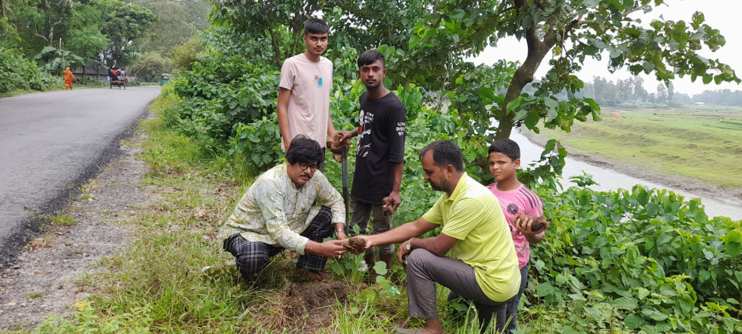 কাজিপুরে একহাজার তালবীজ রোপন