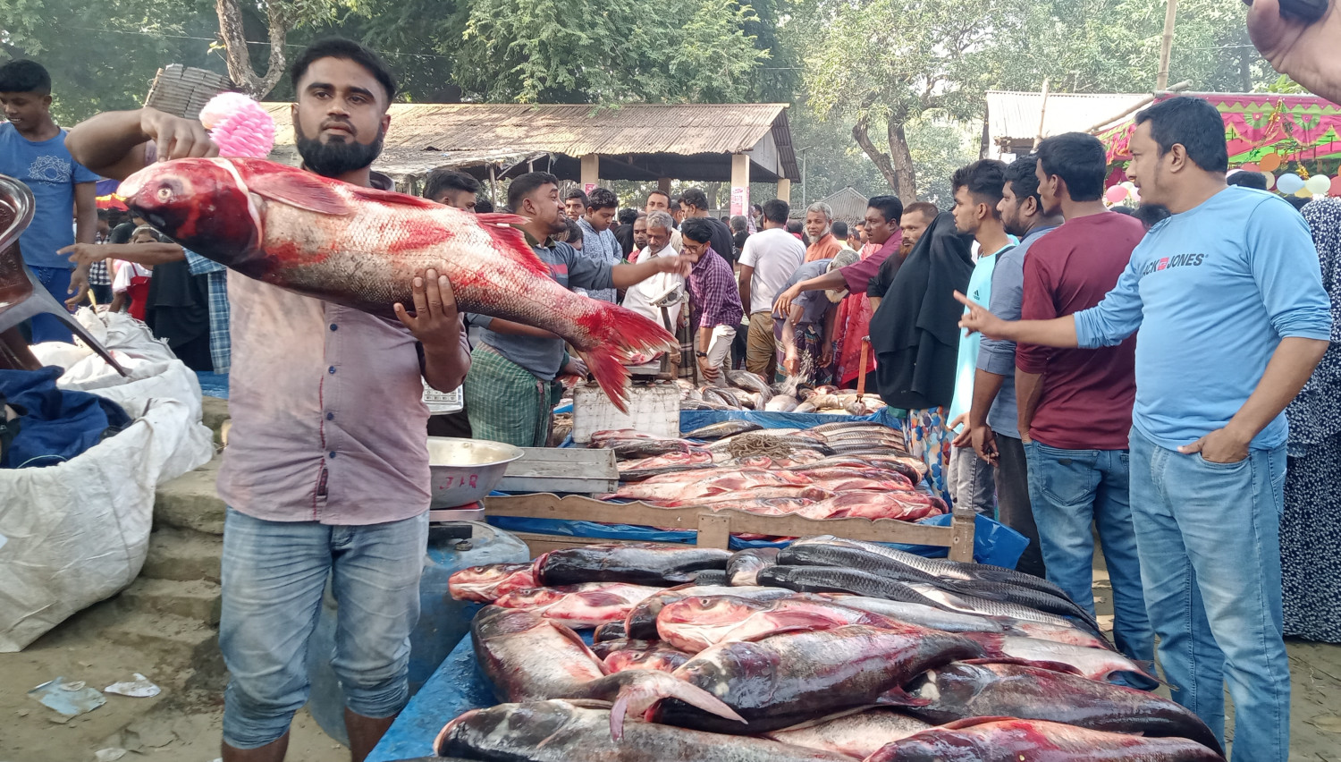 শিবগঞ্জে ঐতিহ্যবাহী নবান্ন উৎসব উপলক্ষে বসেছে শত বছরের মাছের মেলা