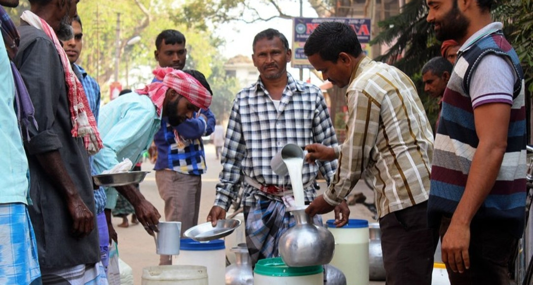 দুপচাঁচিয়ায় দু'ঘণ্টার বাজারে বেচা-কেনা হয় ৪০-৫০হাজার লিটার খাঁটি গরুর দুধ।