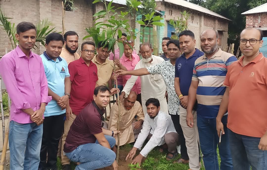 শিবগঞ্জে বৃক্ষ রোপণ করলো জাতীয় অনলাইন প্রেসক্লাব