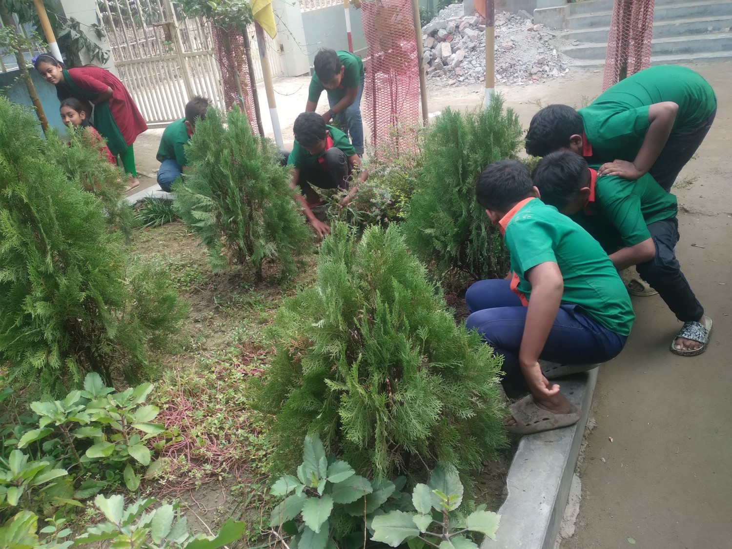কাজিপুরের নাটুয়ারপাড়া সপ্রাবিতে সবুজ বিদ্যালয় ক্যাম্পেইন অনুষ্ঠিত