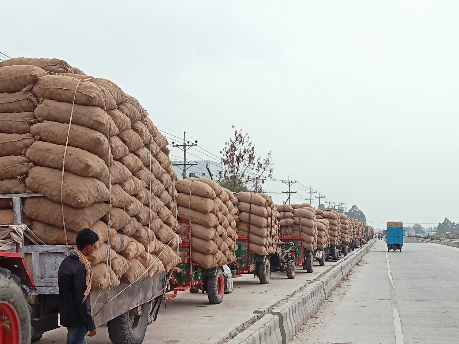 মঠাপুকুরে আলুর বাম্পার ফলনেও হতাশ কৃষক কোল্ডস্টোরেজ করতে পড়তে হচ্ছে নানান বিড়ম্বনায়