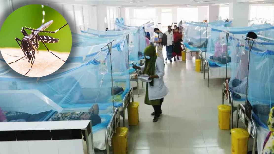 ডেঙ্গুতে একদিনে প্রাণ গেল ১০ জনের